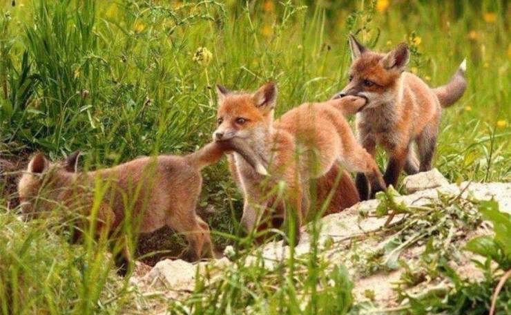 daily picdump 95 pics 33.html - 95 HD Photos | Premium Gallery 2019