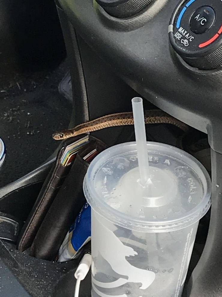 daily picdump 95 pics 33.html - 95 HD Photos | Premium Gallery 2019