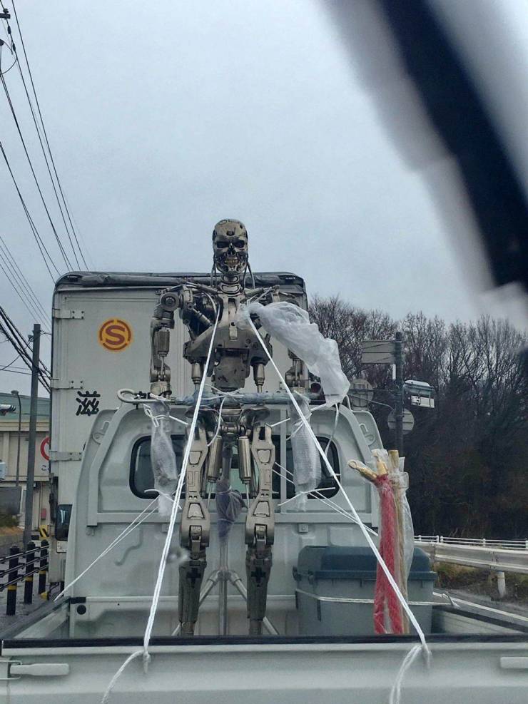 daily picdump 95 pics 33.html - 95 HD Photos | Premium Gallery 2019