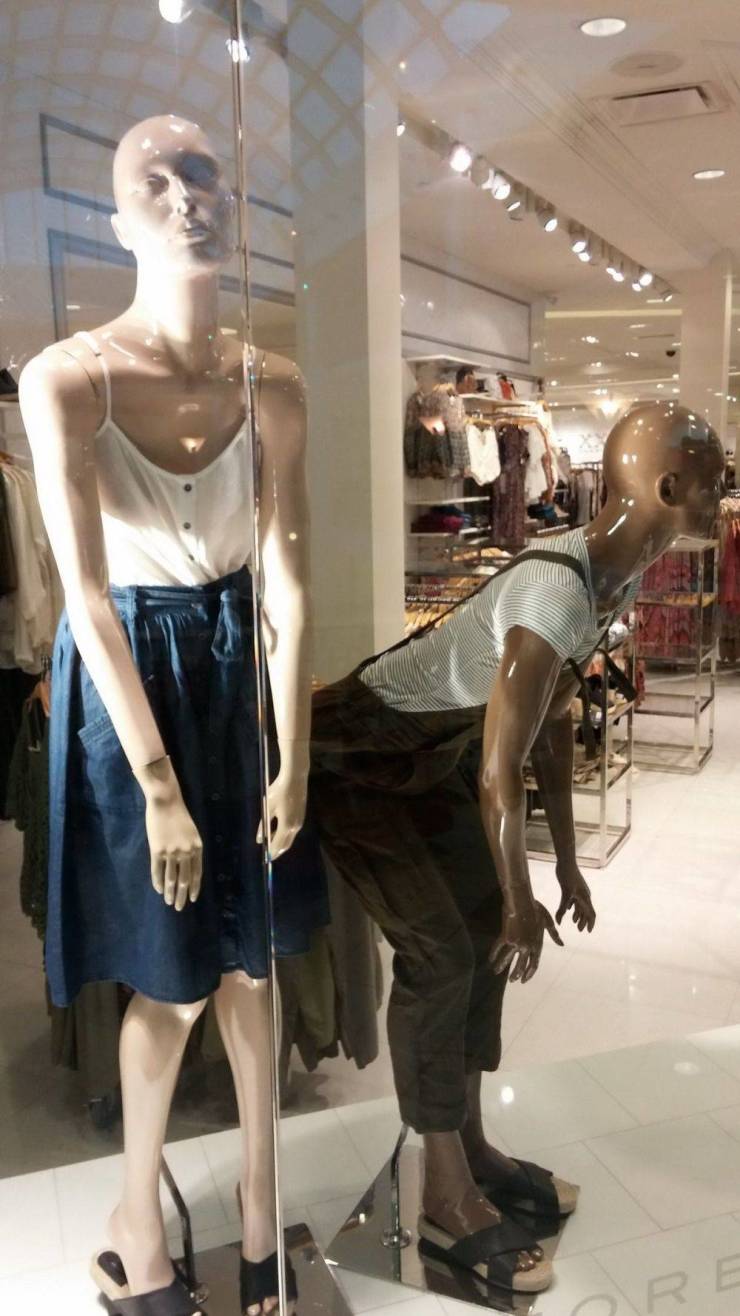 daily picdump 95 pics 33.html - 95 HD Photos | Premium Gallery 2019