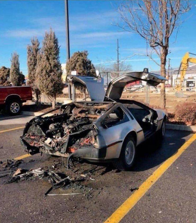 daily picdump 95 pics 33.html - 95 HD Photos | Premium Gallery 2019