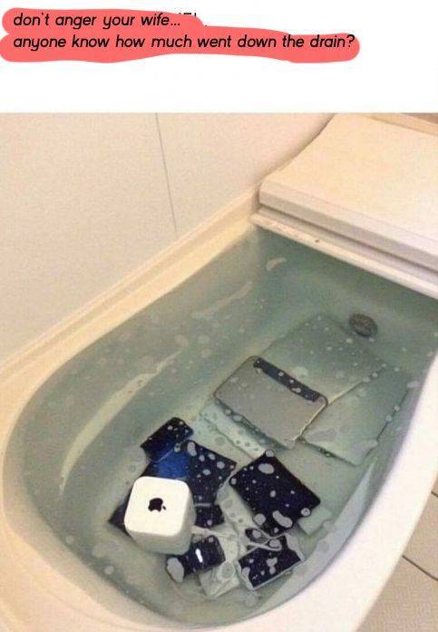 daily picdump 95 pics 33.html - 95 HD Photos | Premium Gallery 2019