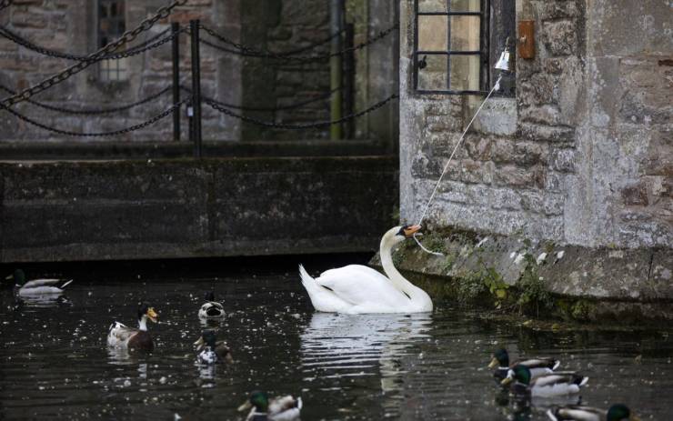 page,14,top 750 daily pics of the year 2019.html - 1 HD Photos | Premium Gallery 2019