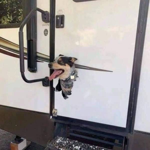 morning picdump 54 pics 24.html - 54 HD Photos | Premium Gallery 2019