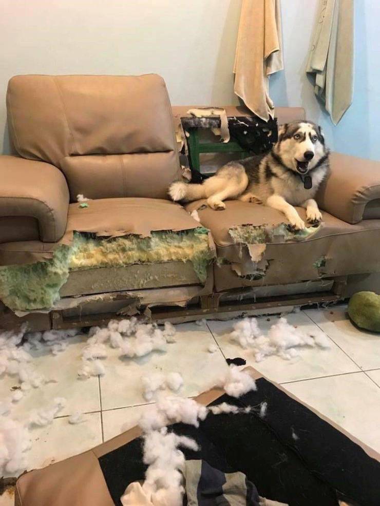 morning picdump 54 pics 24.html - 54 HD Photos | Premium Gallery 2019