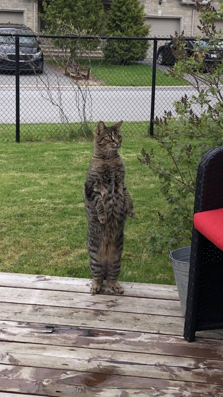 morning picdump 54 pics 24.html - 54 HD Photos | Premium Gallery 2019