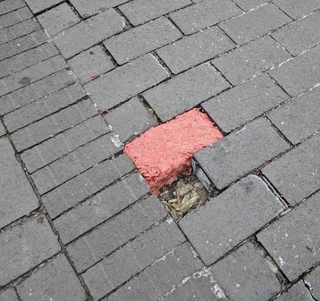 And That Will Be A Hard Pass