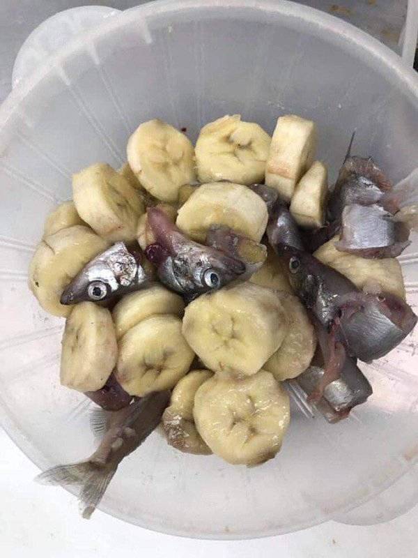 And That Will Be A Hard Pass