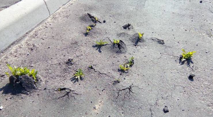 daily picdump 100 pics 49.html - 100 HD Photos | Premium Gallery 2019