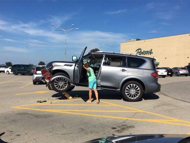 daily picdump 100 pics 49.html - 100 HD Photos | Premium Gallery 2019