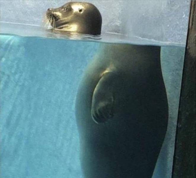 daily picdump 100 pics 49.html - 100 HD Photos | Premium Gallery 2019