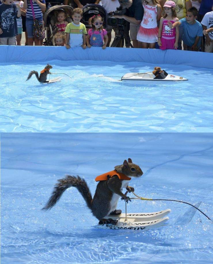 daily picdump 100 pics 49.html - 100 HD Photos | Premium Gallery 2019