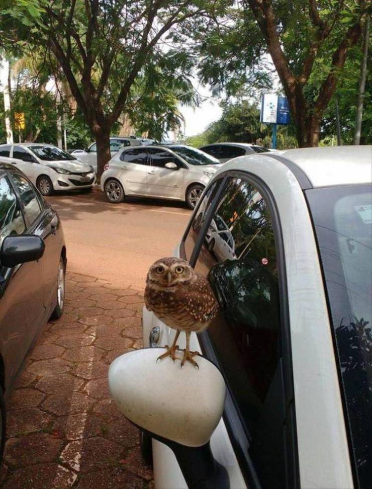 daily picdump 100 pics 49.html - 100 HD Photos | Premium Gallery 2019