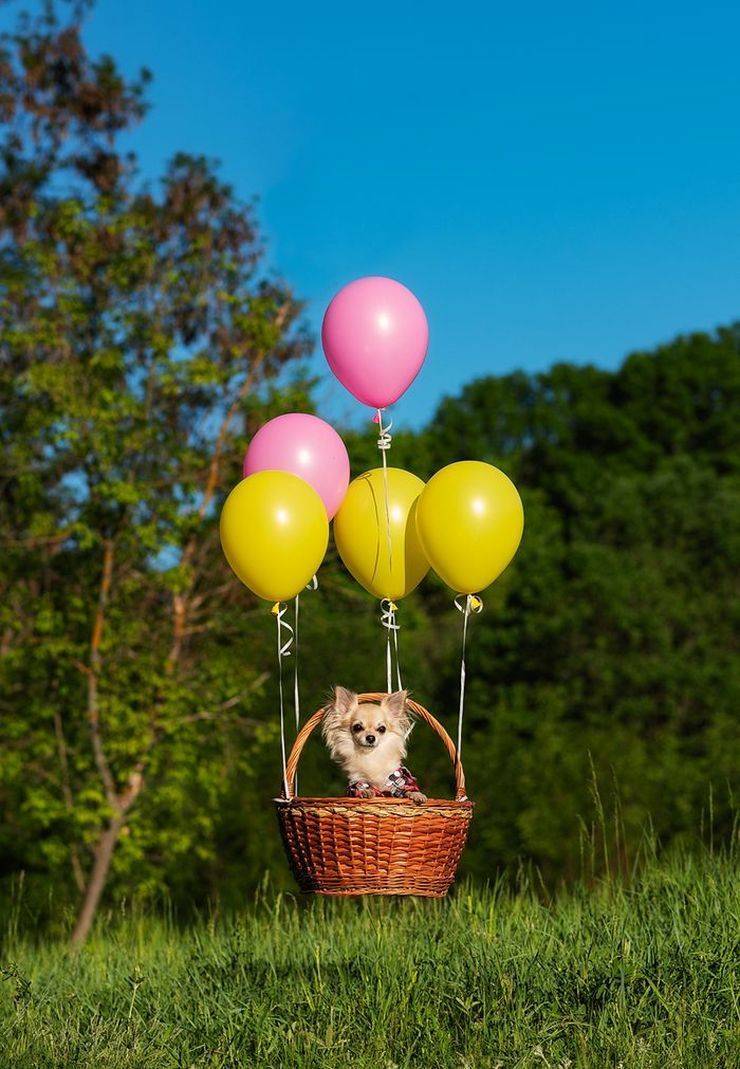 daily picdump 100 pics 49.html - 100 HD Photos | Premium Gallery 2019