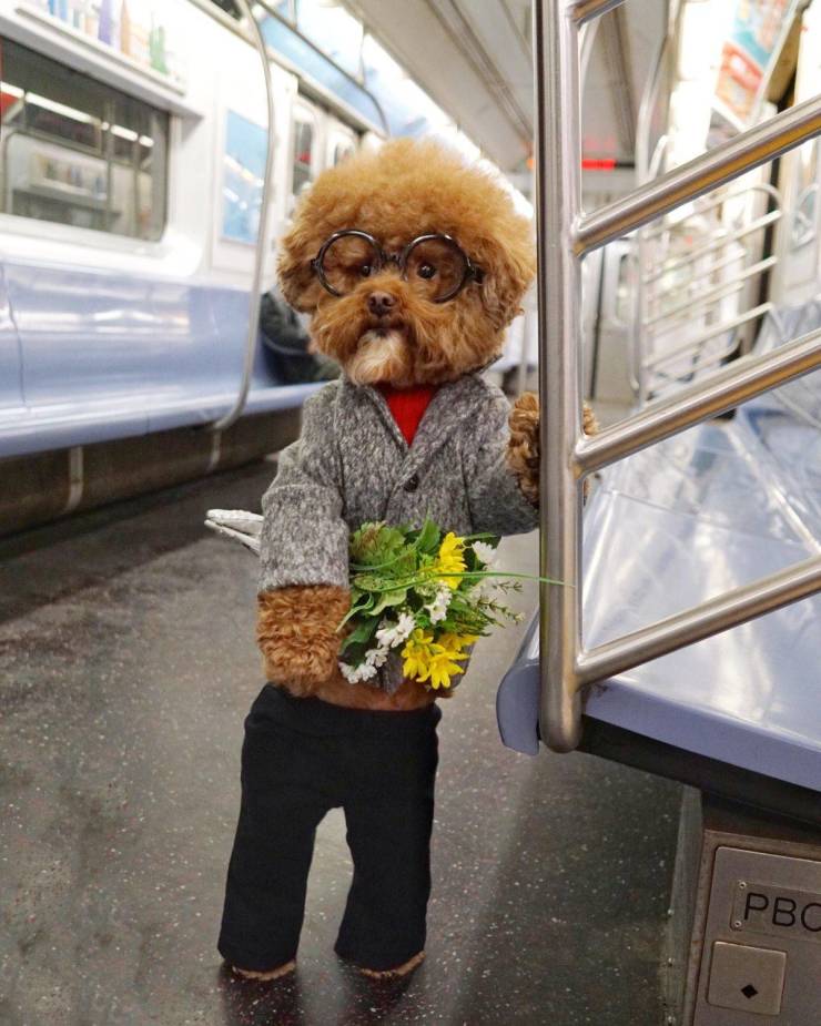 daily picdump 100 pics 49.html - 100 HD Photos | Premium Gallery 2019