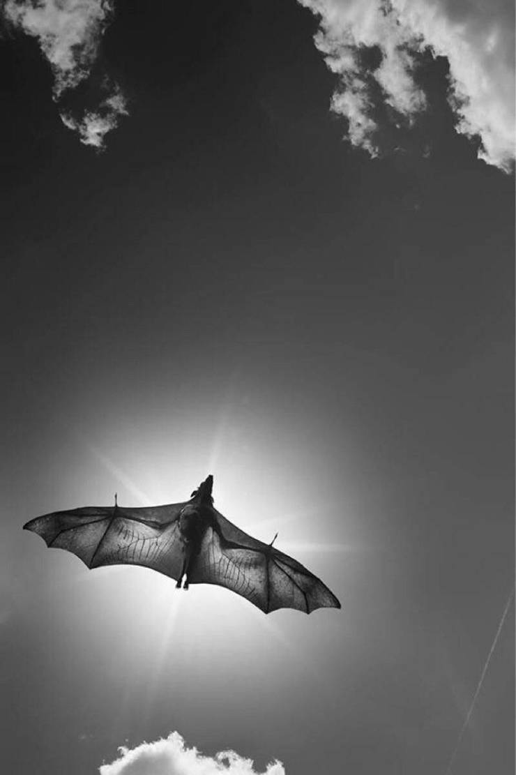 daily picdump 100 pics 49.html - 100 HD Photos | Premium Gallery 2019