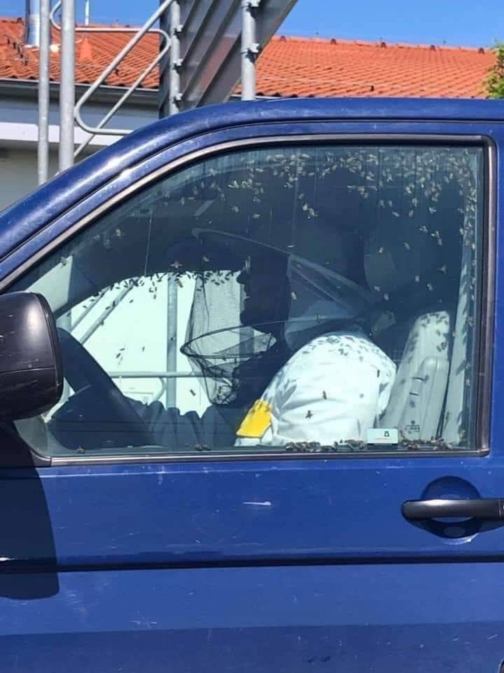 daily picdump 100 pics 49.html - 100 HD Photos | Premium Gallery 2019