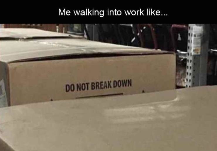 funny picdump 53 pics 21.html - 53 HD Photos | Premium Gallery 2019