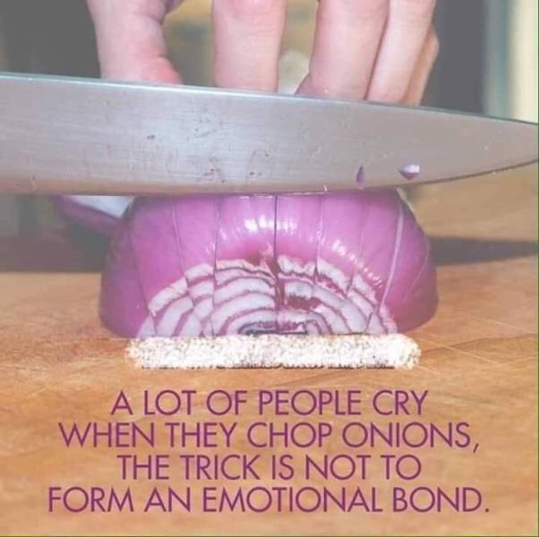 funny picdump 50 pics 14.html - 50 HD Photos | Premium Gallery 2019