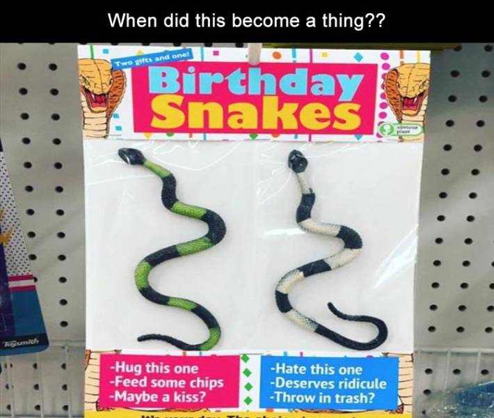 funny picdump 50 pics 14.html - 50 HD Photos | Premium Gallery 2019