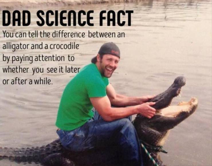 funny picdump 50 pics 14.html - 50 HD Photos | Premium Gallery 2019