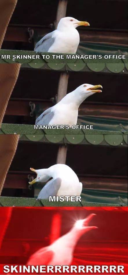 funny picdump 50 pics 14.html - 50 HD Photos | Premium Gallery 2019