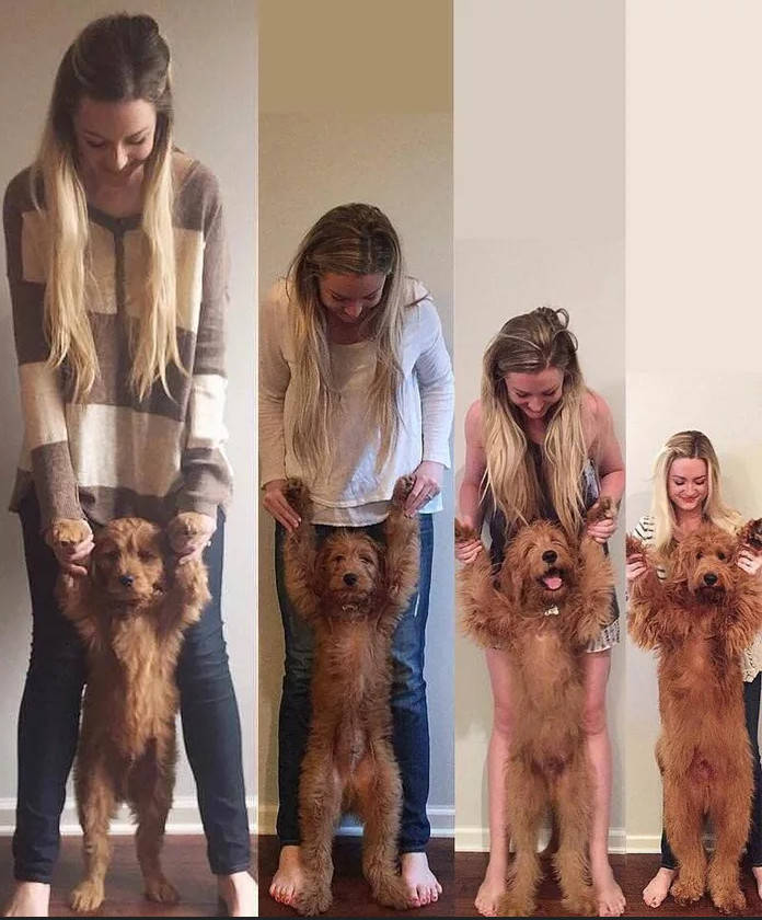 funny picdump 50 pics 14.html - 50 HD Photos | Premium Gallery 2019