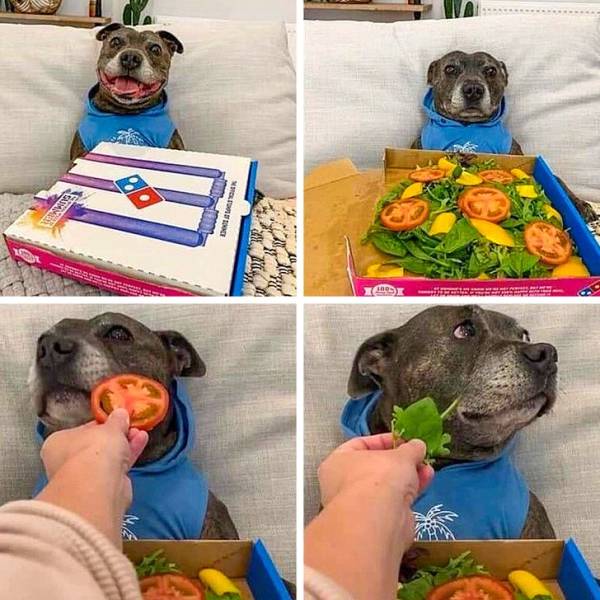 top 100 animals pics of the year 2019.html - 1 HD Photos | Premium Gallery 2019