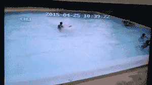 Sea Has Absolutely No Mercy