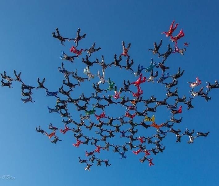 daily picdump 97 pics 1.html - 97 HD Photos | Premium Gallery 2019