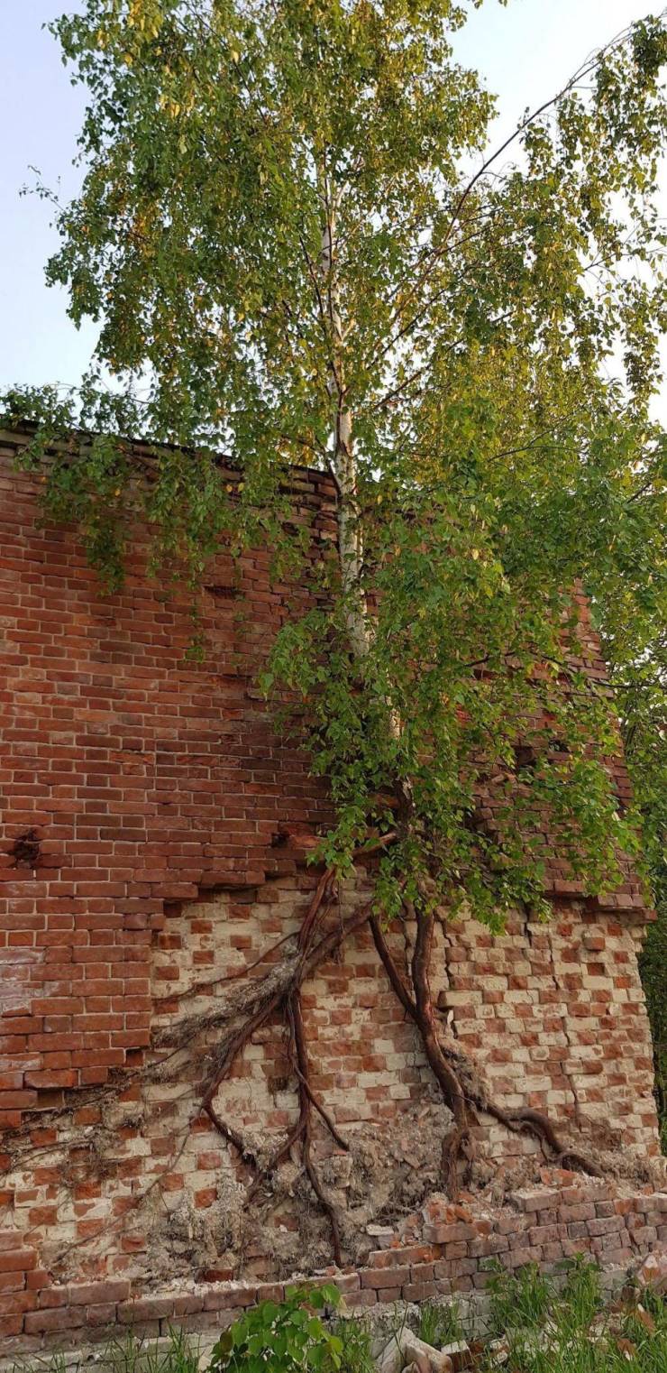 daily picdump 97 pics 1.html - 97 HD Photos | Premium Gallery 2019