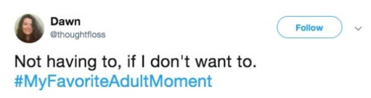 Okay, Adult Life Has Its Bonuses