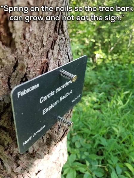 page,18,top 750 daily pics of the year 2019.html - 1 HD Photos | Premium Gallery 2019