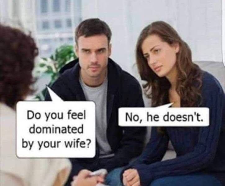 page,7,top 250 funny pics of the year 2019.html - 1 HD Photos | Premium Gallery 2019