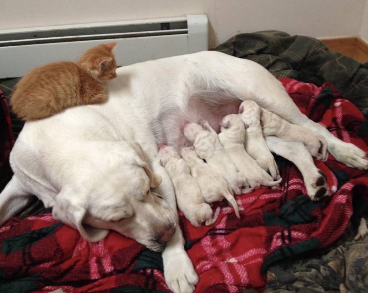 page,14,top 750 daily pics of the year 2019.html - 1 HD Photos | Premium Gallery 2019