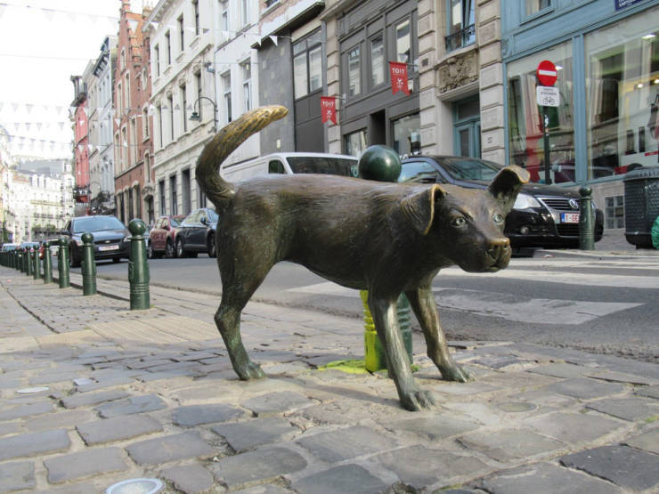 morning picdump 51 pics 9.html - 51 HD Photos | Premium Gallery 2019