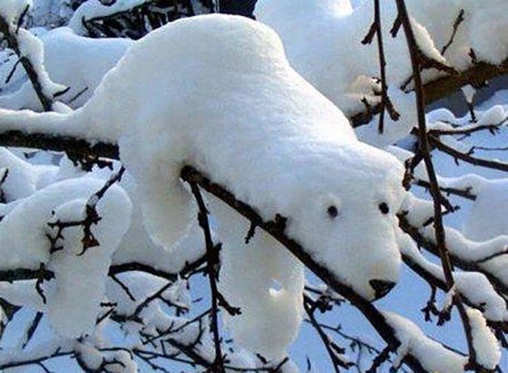 morning picdump 51 pics 9.html - 51 HD Photos | Premium Gallery 2019