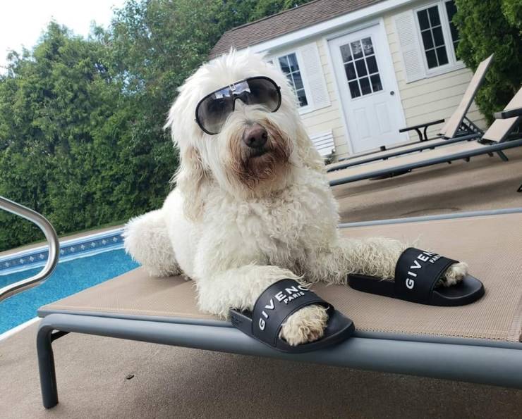 morning picdump 51 pics 9.html - 51 HD Photos | Premium Gallery 2019