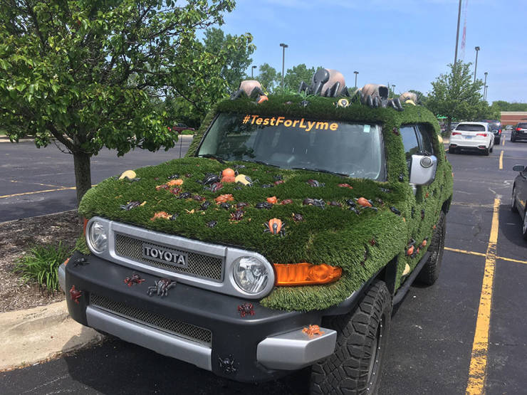 morning picdump 51 pics 9.html - 51 HD Photos | Premium Gallery 2019