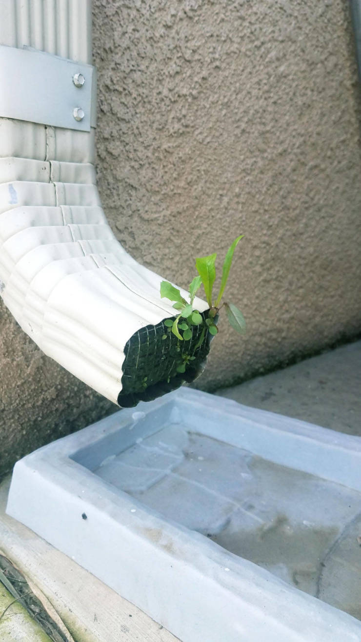 morning picdump 51 pics 9.html - 51 HD Photos | Premium Gallery 2019