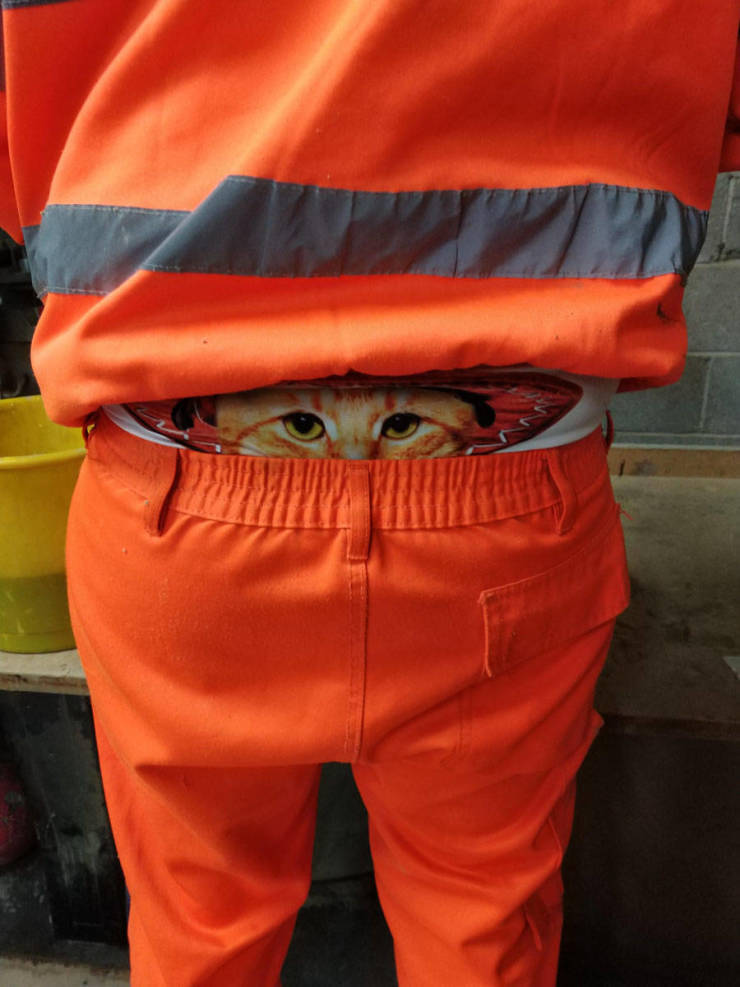 morning picdump 51 pics 9.html - 51 HD Photos | Premium Gallery 2019