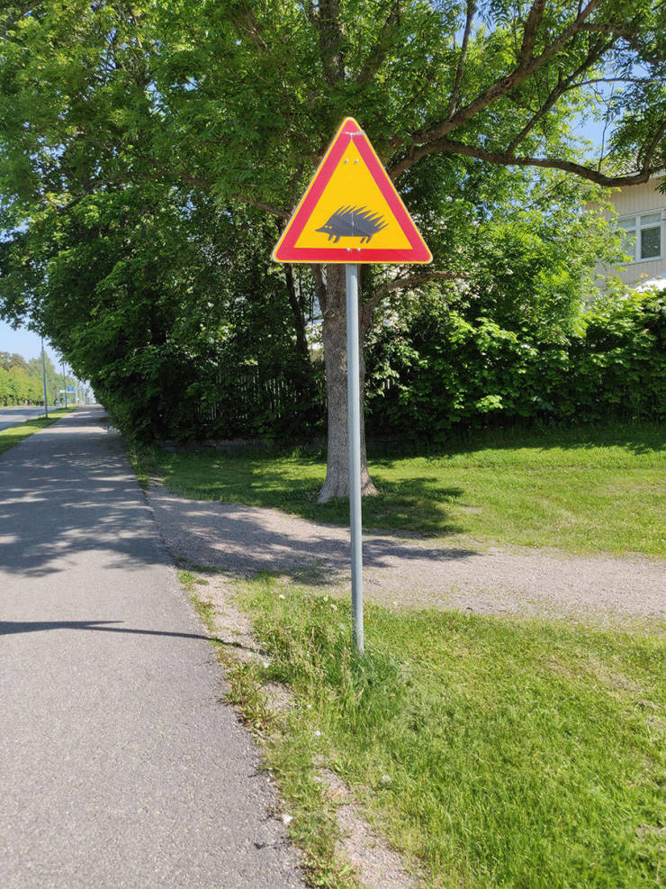 morning picdump 51 pics 9.html - 51 HD Photos | Premium Gallery 2019