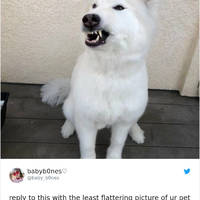 asian girls that are real stunners 51 pics.html - 51 HD Photos | Premium Gallery 2020