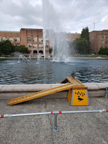 page,14,top 750 daily pics of the year 2019.html - 1 HD Photos | Premium Gallery 2019