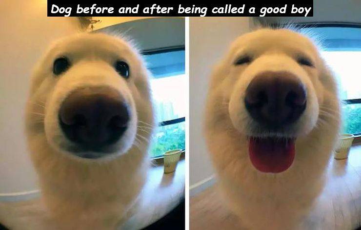 daily picdump 96 pics 30.html - 96 HD Photos | Premium Gallery 2019