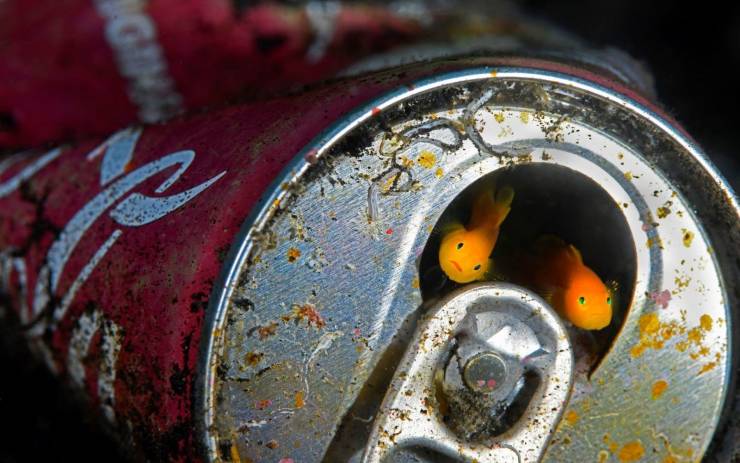 daily picdump 96 pics 30.html - 96 HD Photos | Premium Gallery 2019