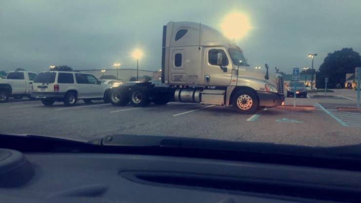 daily picdump 96 pics 30.html - 96 HD Photos | Premium Gallery 2019