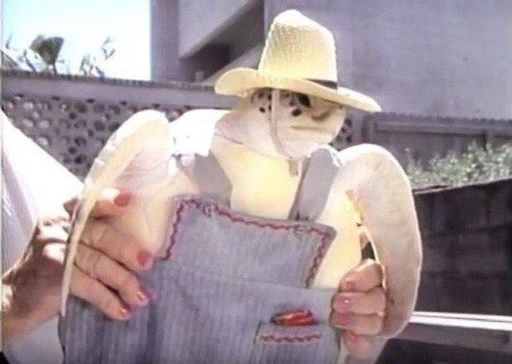 daily picdump 96 pics 30.html - 96 HD Photos | Premium Gallery 2019