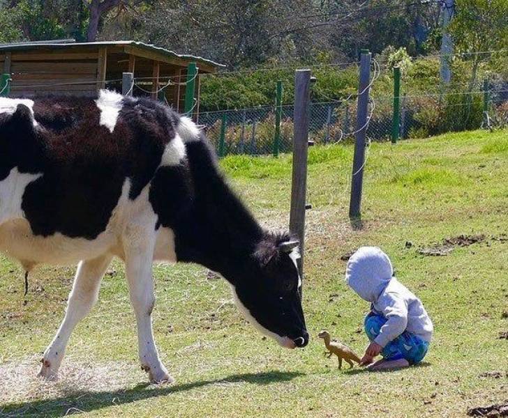 daily picdump 96 pics 30.html - 96 HD Photos | Premium Gallery 2019