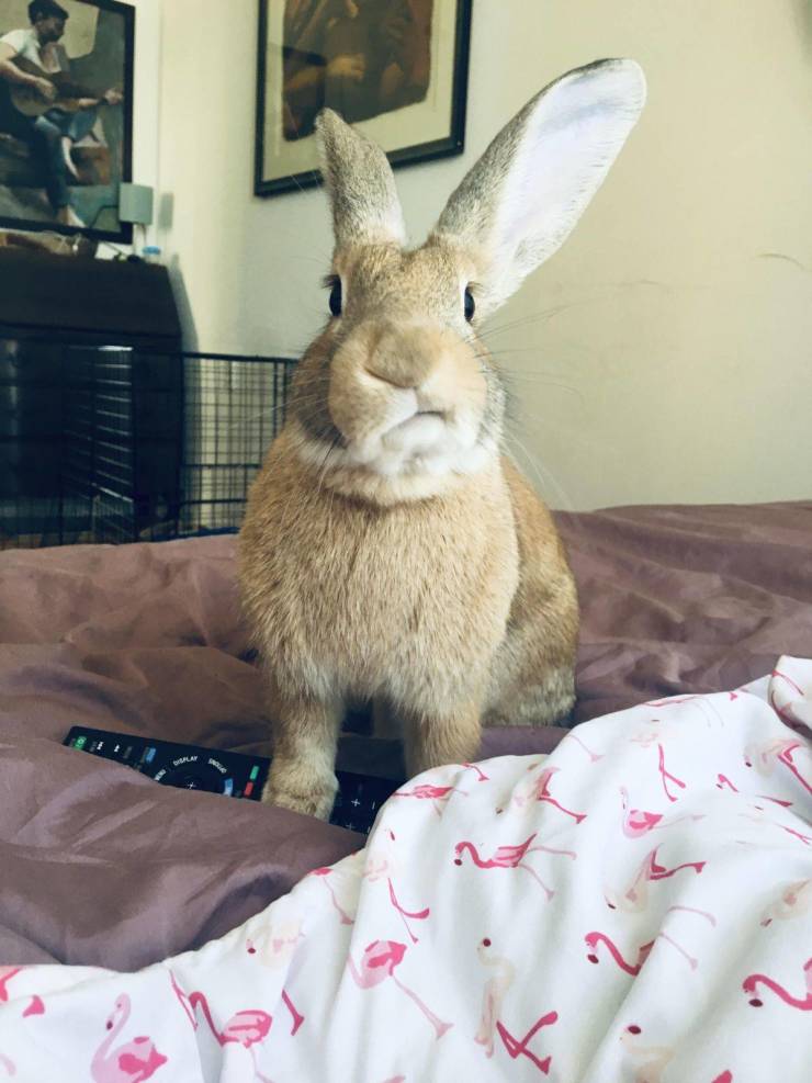 daily picdump 96 pics 30.html - 96 HD Photos | Premium Gallery 2019